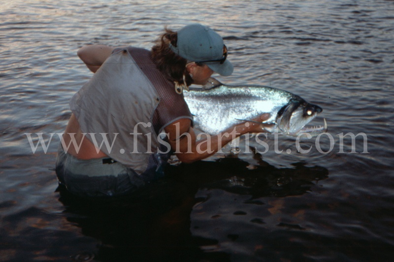  - Payara of the Amazon Rivers.