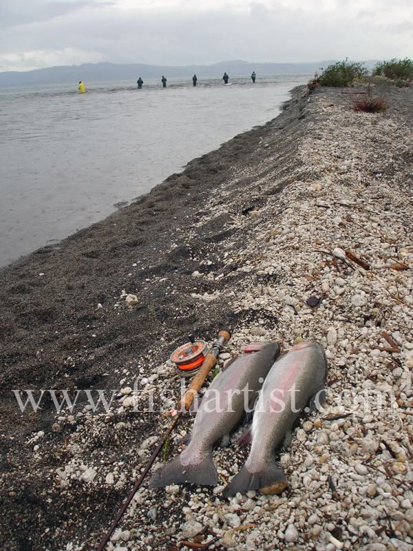 Trout - What They Are After! - Trout Fishing - Taupo New Zealand.