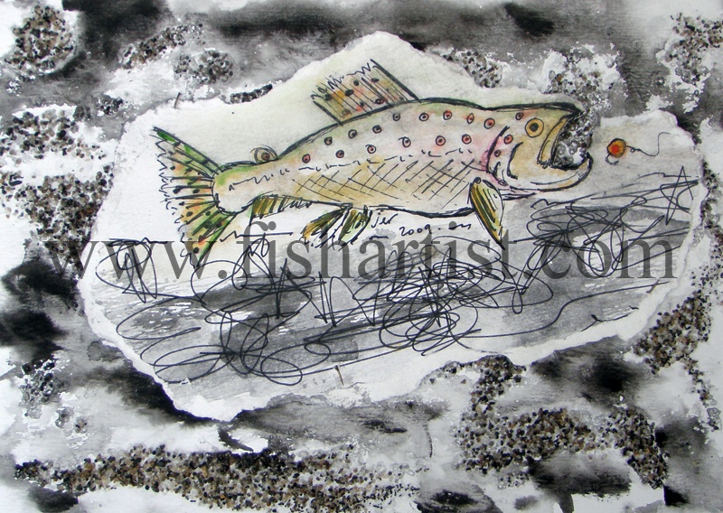 Taupo Early Morning Brown Trout Watercolour. - Watercolours of Taupo Trout.