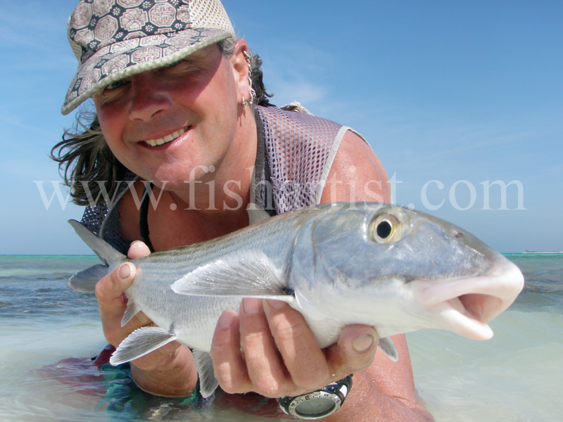 Closeup Bonefish 2010. - Bonefishing 2010.