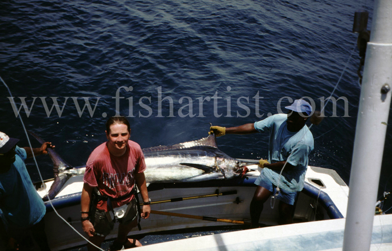Blue Marlin - Kenya. - The Fish Trophy Room.