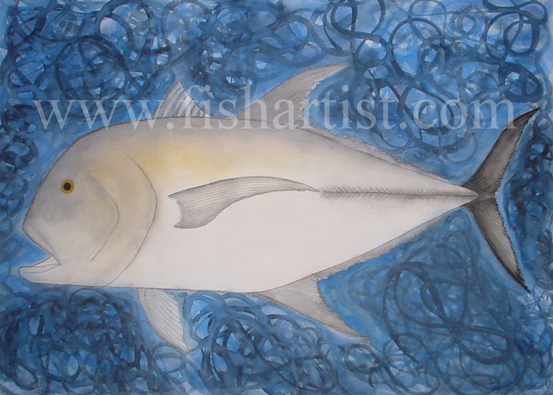 Giant Travelly - Australia. - Fish Art for Fishermen.