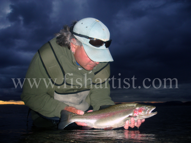 4lb Change of Light Rainbow Jack. - Trout Fishing - Taupo New Zealand.