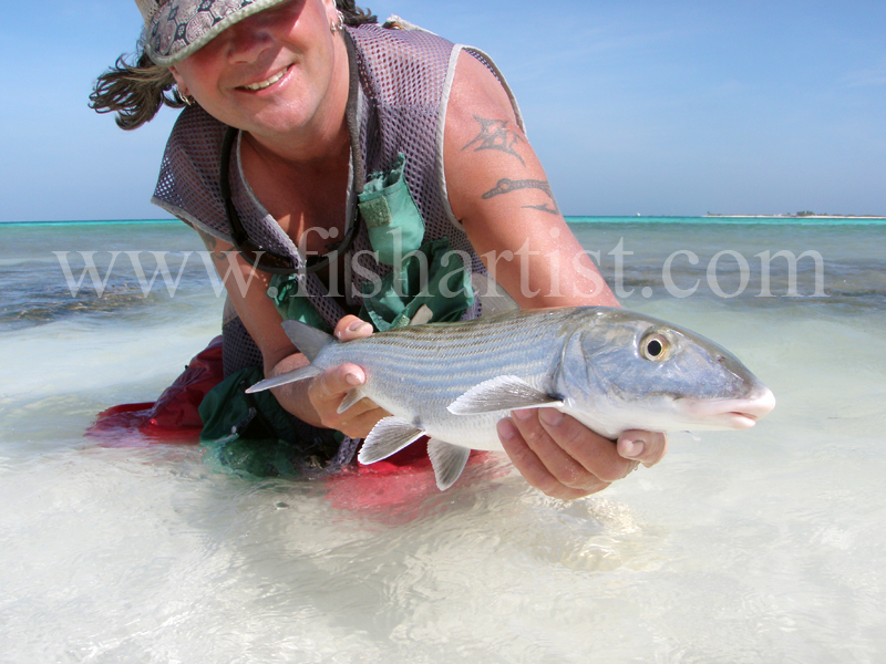 Wild Bonefish 2010. - Bonefishing 2010.
