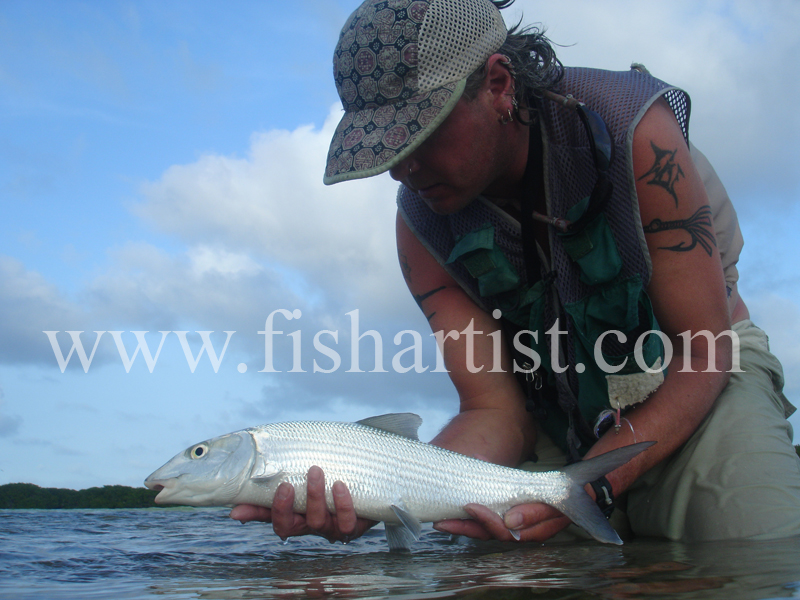 Bonefish Photo - Evening Bonefish. - Bonefish & Tarpon.