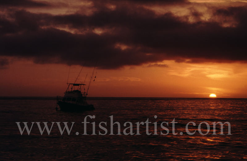 Big Game Fisherman's Sunset. - Marlin Fishing.