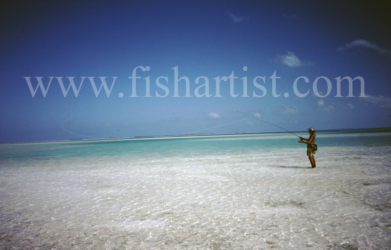 On the Flats. - Bonefish & Tarpon.