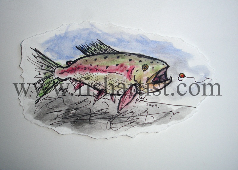 Taupo Heave & Leave Trout Watercolour. - Watercolours of Taupo Trout.