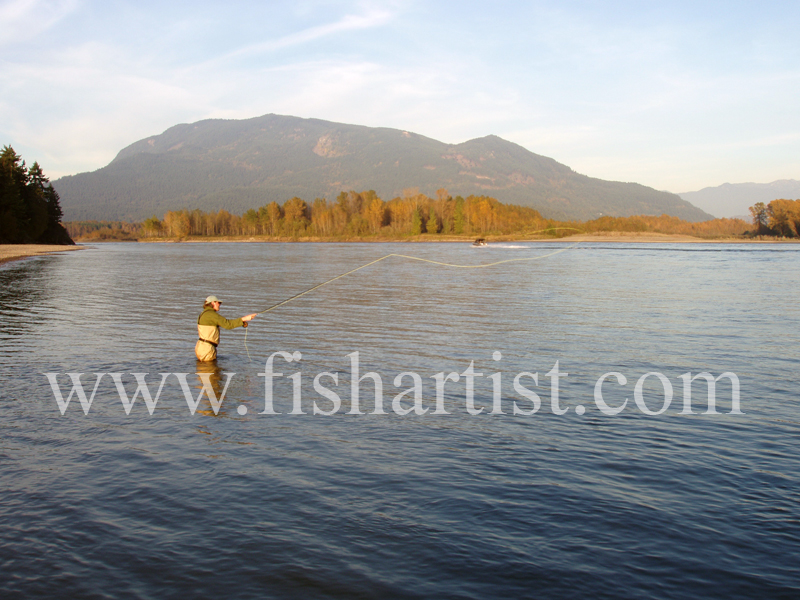 Salmon Fishing. - Sturgeon of the Fraser River.