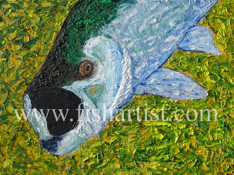 Tarpon. - Fish Art for Fishermen.