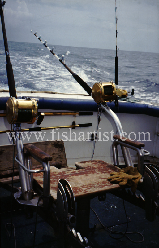 Fighting Chair. - Marlin Fishing.