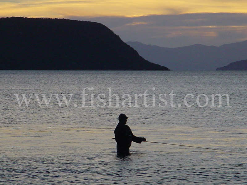 Waitahanui Local. - Trout Fishing - Taupo New Zealand.