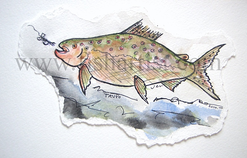 Waitahanui Brown Trout Hen Watercolur. - Watercolours of Taupo Trout.