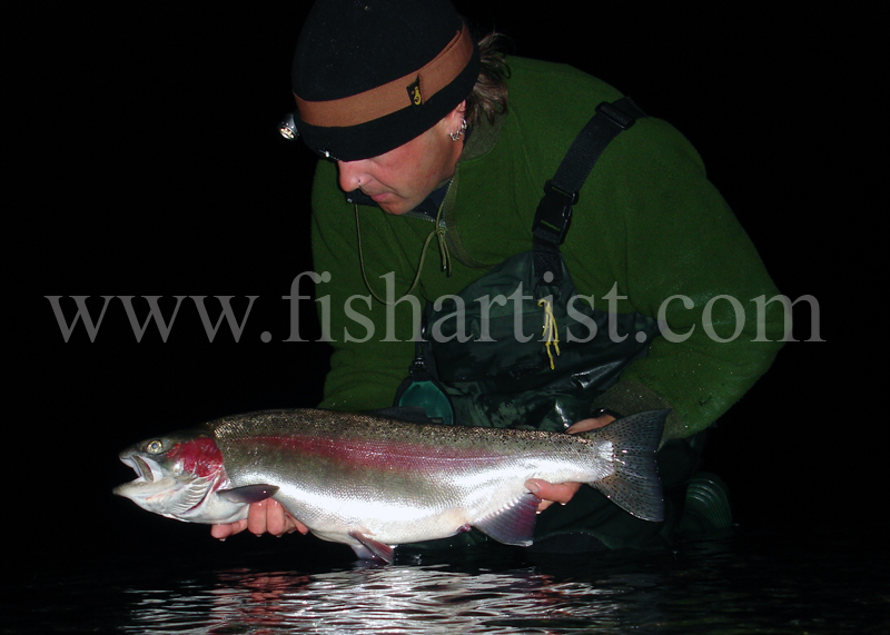 Taupo Trout - New Zealand. - The Fish Trophy Room.