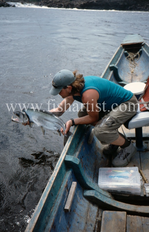  - Payara of the Amazon Rivers.