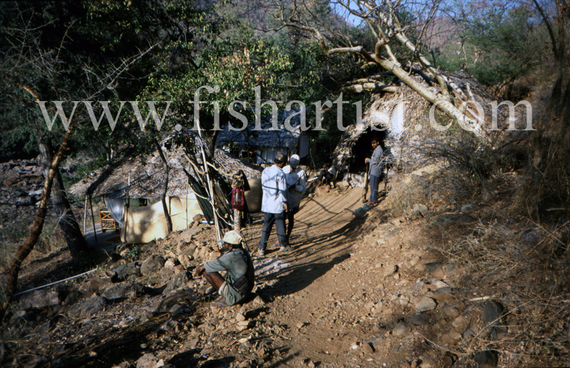 Mahseer Camp. - Mahseer Fishing India.