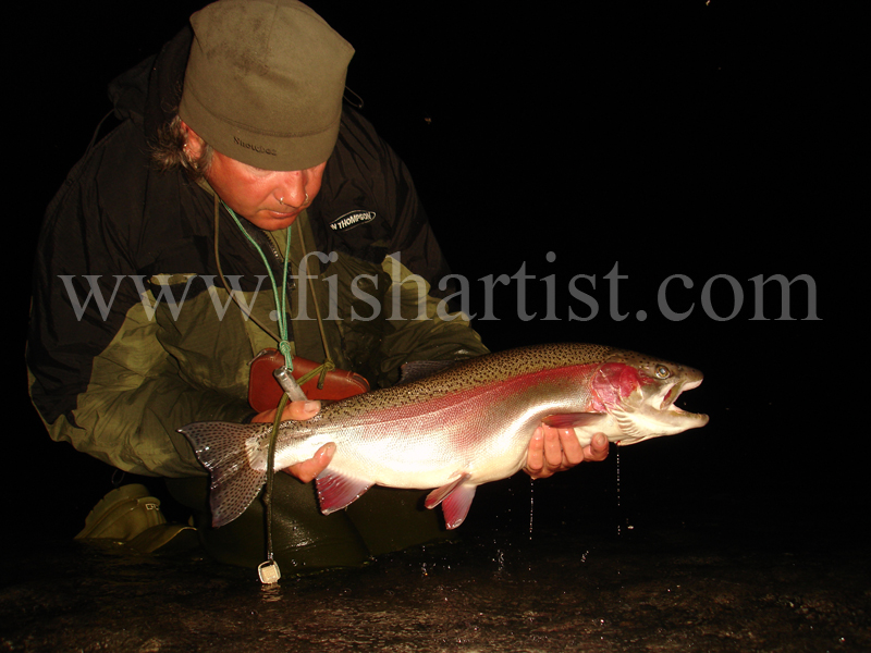 Trophy 8lb Waitahanui Rip  Jack. - Trout Fishing - Taupo New Zealand.