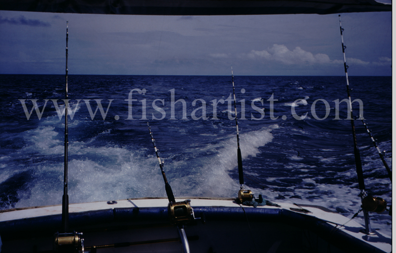 The Spread. - Marlin Fishing.