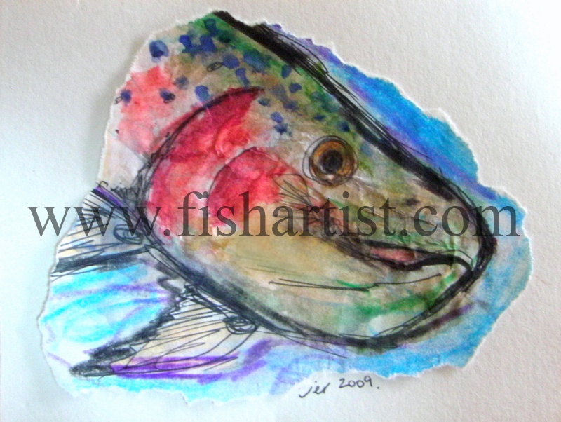 Cicada Caught Taupo Trout Watercolour. - Watercolours of Taupo Trout.