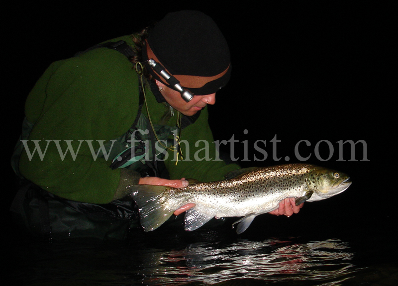 Lake Taupo Brown Trout. - Trout Fishing - Taupo New Zealand.