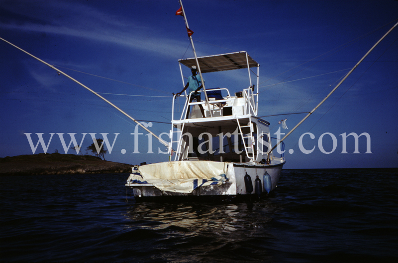 Marlin Boat. - Marlin Fishing.