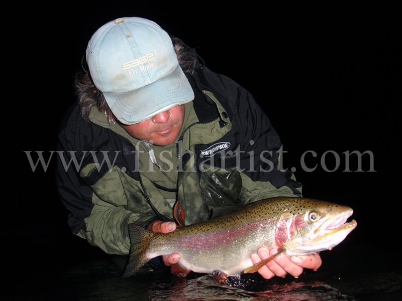 Ready to Run Night Caught Taupo Rainbow Jack. - Trout Fishing - Taupo New Zealand.