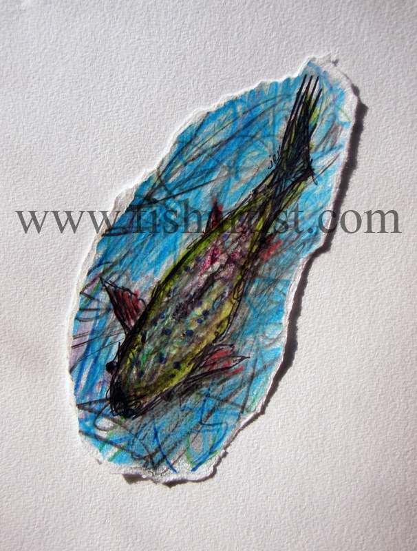 Taupo River Rapids Trout. - Watercolours of Taupo Trout.