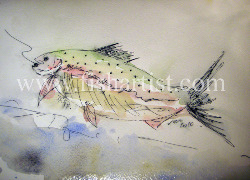 Taupo Hen. - Watercolours of Taupo Trout.