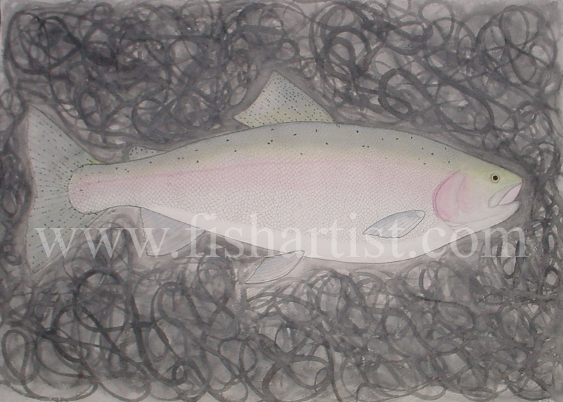 Taupo Hen. - Fish Art for Fishermen.