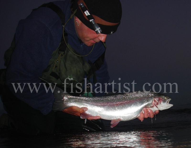 Early Morning Taupo Hen. - Trout Fishing - Taupo New Zealand.