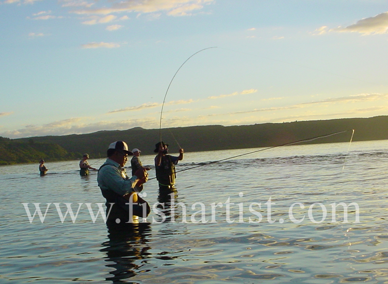 Taupo Fisherman - Got one! - Trout Fishing - Taupo New Zealand.