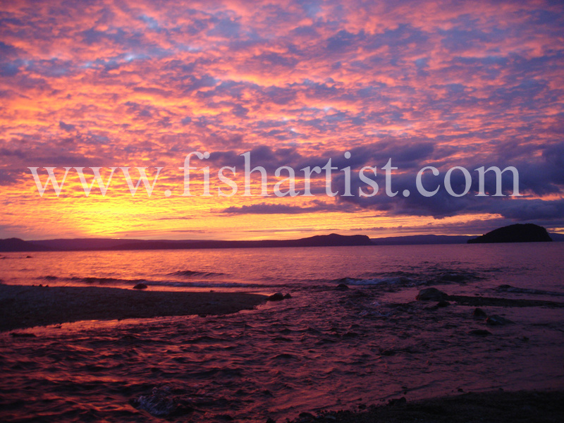 Stream Mouth Sunset. - Trout Fishing - Taupo New Zealand.