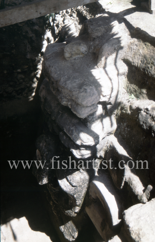 Mayan Stone Carving. - Eyes of a Fisherman.