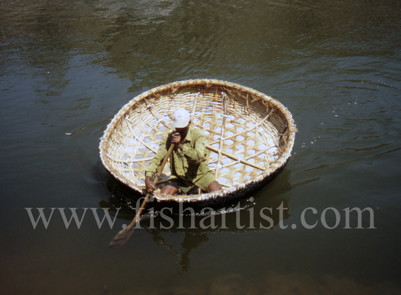 Mahseer Fishing Coracle. - Mahseer Fishing India.