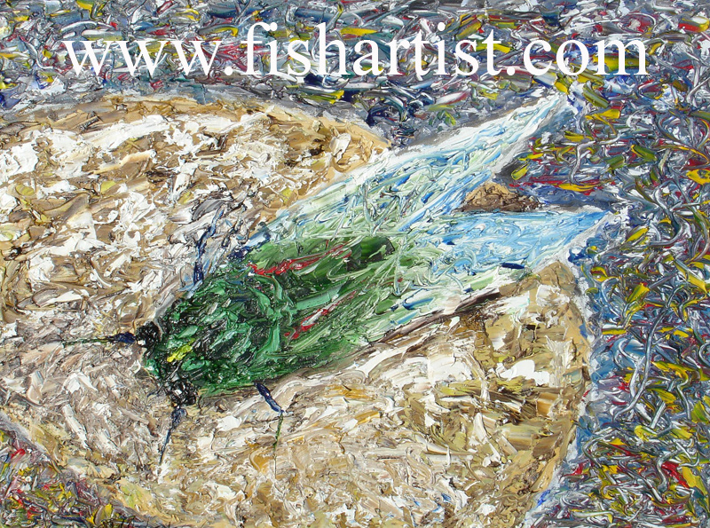 Mad Cicada - Taupo. - Fish Art for Fishermen.