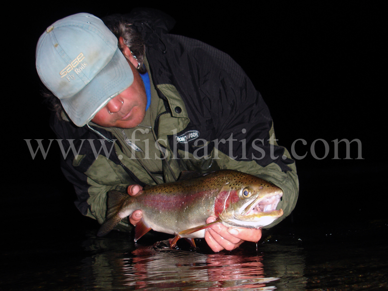 Head On Rainbow Jack. - Trout Fishing - Taupo New Zealand.
