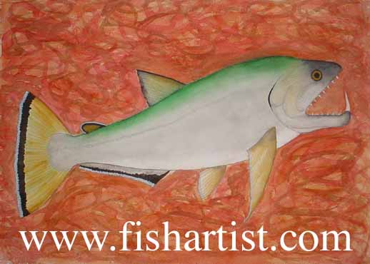 Payara Fishing. - Fish Art for Fishermen.