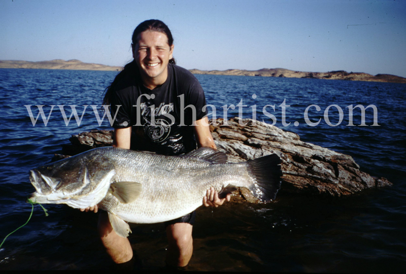 Nile Perch - Egypt. - The Fish Trophy Room.