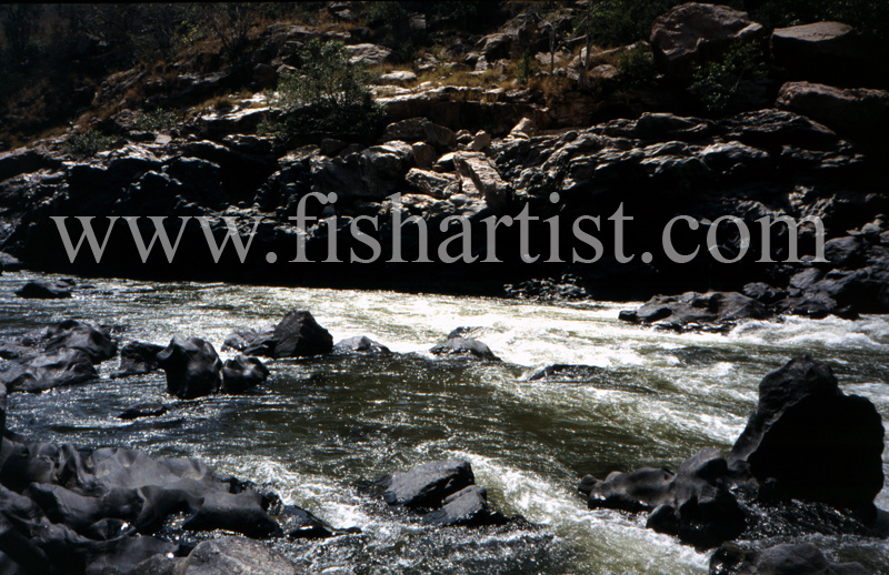 Mahseer Water. - Mahseer Fishing India.