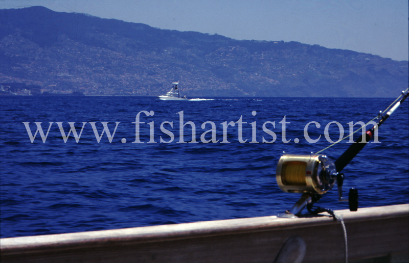 The Hunt is On. - Marlin Fishing.
