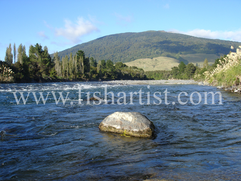Stag Pool. - Trout of the Tongariro River.