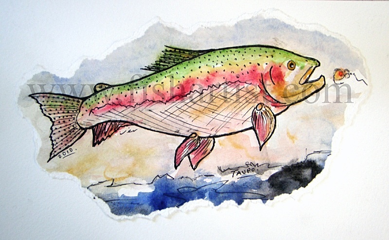 8lb Waitahanui Taupo Jack Watercolour. - Watercolours of Taupo Trout.