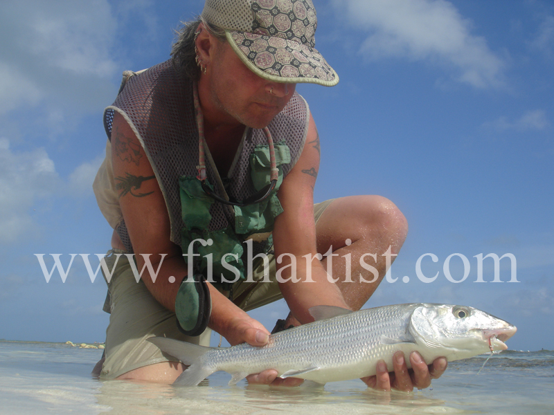 Bonefish Photo - A Joy. - Bonefish & Tarpon.