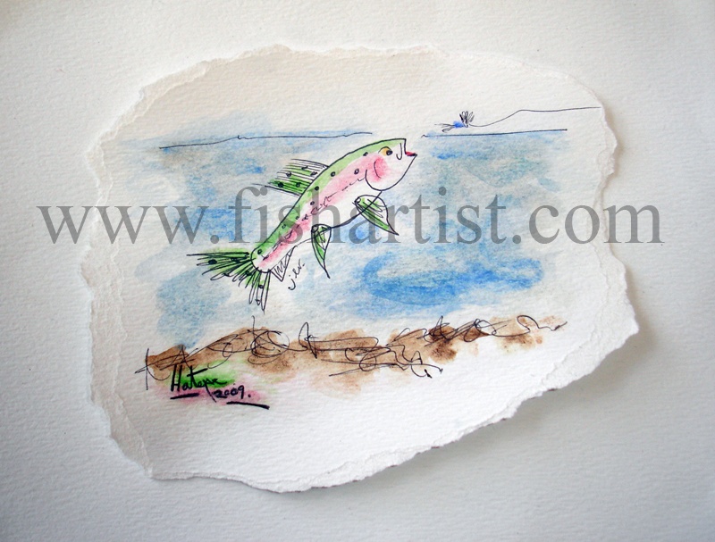 Taupo Trout Summer Hen Watercolour. - Watercolours of Taupo Trout.