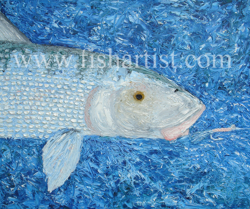 A Bonefish for Bonefishermen. - Fish Art for Fishermen.