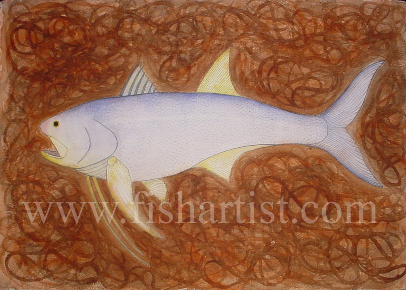 Kujeli - The Gambia Africa. - Fish Art for Fishermen.