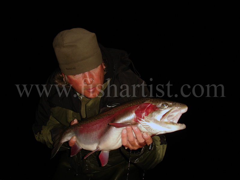 Taupo Trophy 8lb Rainbow Jack Head On. - Trout Fishing - Taupo New Zealand.