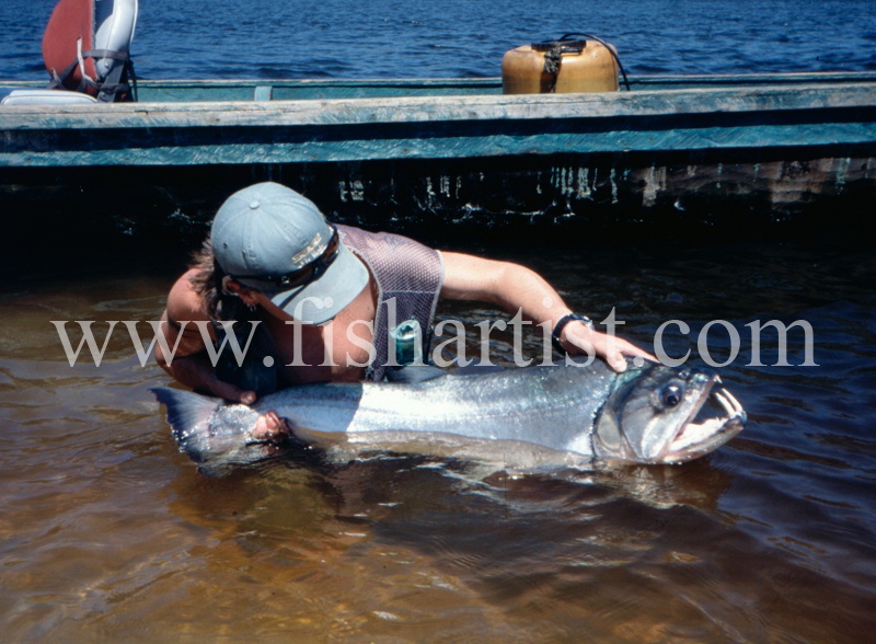  - Payara of the Amazon Rivers.