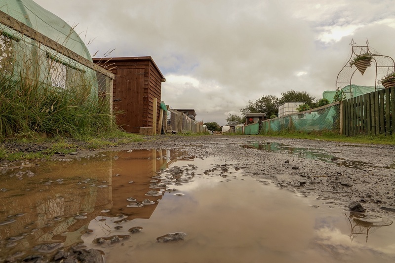  - The Allotment