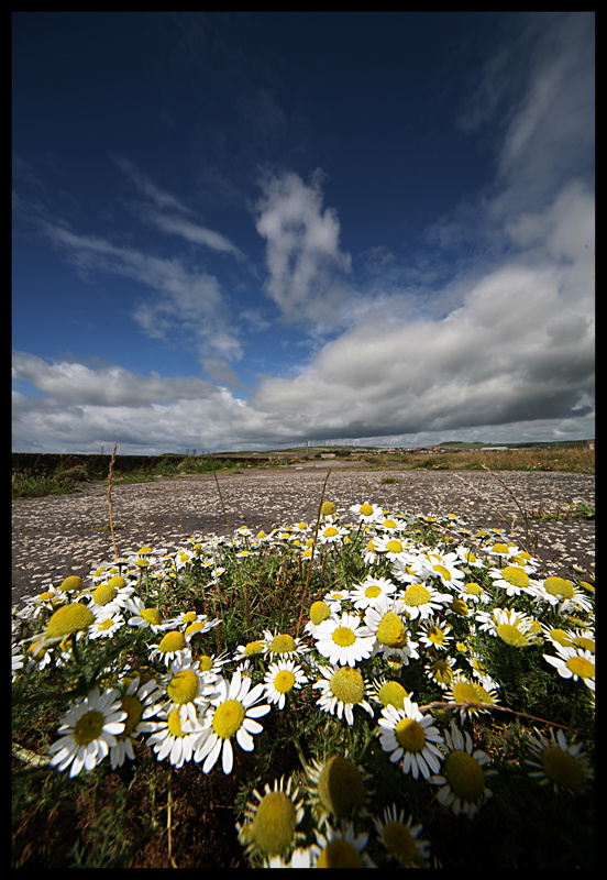  - Land, Sea and Urbanscapes